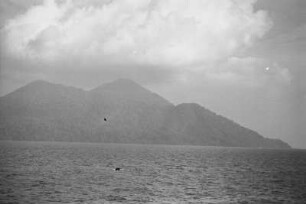 Sebesi Insel : Blick vom Meer auf die Sebesi-Insel