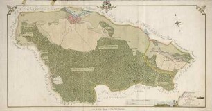 Topographischer Plan von dem Theninger und Wasserer Bann