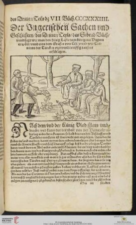 Der Vngerischen Sachen vnd Geschichten, des Dritten Teyls, das Sibend Buch