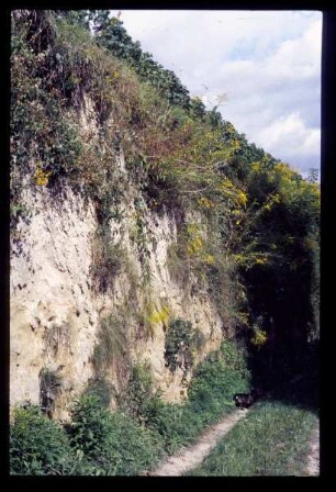 Am Kaiserstuhl