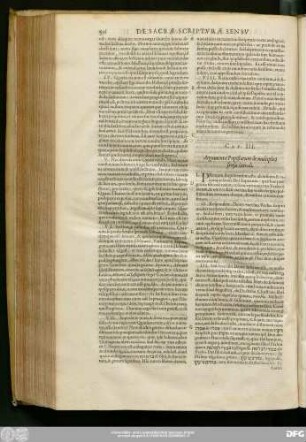 Cap. III. Argumenta Papistarum de multiplici sensu literali.