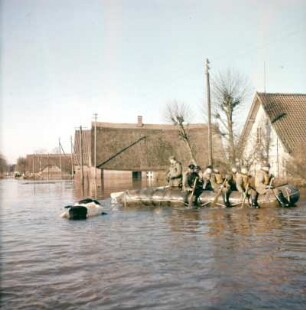 Sturmflut Hamburg 1962. Überflutetes Wohngebiet, Soldaten der Bundeswehr bergen eine Kuh