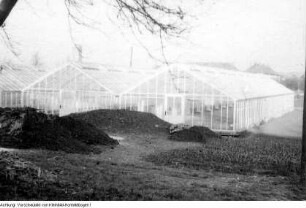 Dresden, Kaditz. Gärtnerische Produktionsgenossenschaft (GPG) Gartenbau Kaditz. Neue Gewächshäuser, 1959