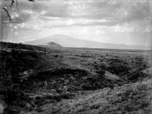 Dornstrauchsavanne : Blick über die Dornstrauchsavanne. Im Hintergrund Hügel.