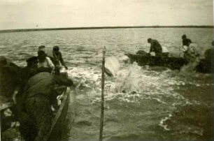 Deichbau Leybucht - Norden, Deutschland, 1928-1929, 1944-1950