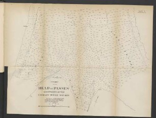 Plate B. See text page 112. Chart of the head of passes Mississippi River U.S. Coast survey May,1875.
