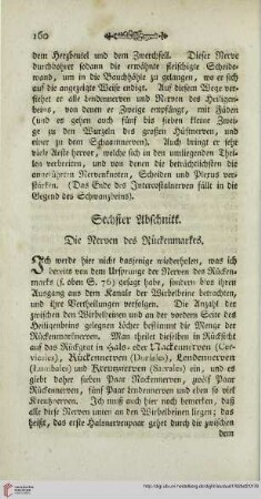 Sechster Abschnitt: Die Nerven des Rückenmarkes