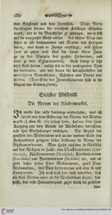 Sechster Abschnitt: Die Nerven des Rückenmarkes