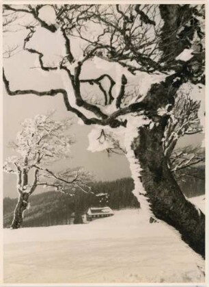 Schneelandschaft im Schwarzwald