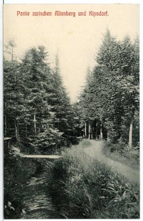 Altenberg. Zwischen Altenberg und Kipsdorf