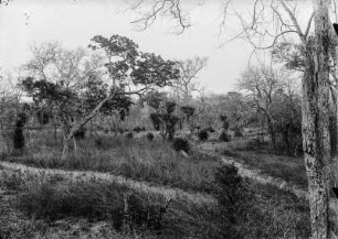 Pori (Deutsch-Ostafrikaexpedition 1906-1907)