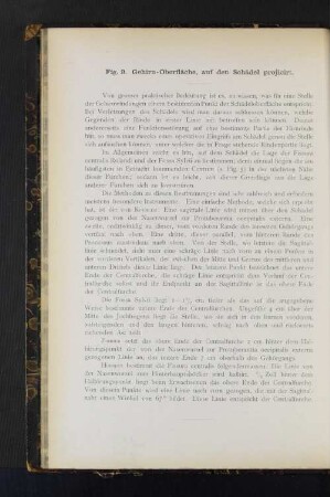 Fig. 9. Gehirn-Oberfläche, auf den Schädel projicirt.