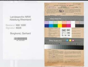 Entnazifizierung Gerhard Borghorst, geb. 01.11.1896 (Zollbeamter)