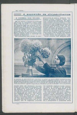 A exposição de chrysanthemos em Londres e Paris