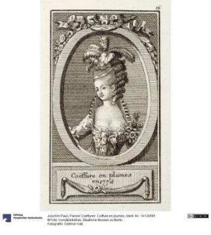 Pariser Coeffuren: Coiffure en plumes