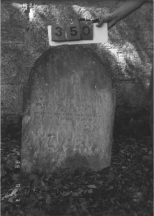 Grabstein 350 (Index: 99609987) Material: Sandstein Zustand: stark verwittert, teilweiser Textverlust Maße HxBxT: 84x55x10 cm Beschreibung: Stele, eingezogener Rundbogenabschluß, Schriftfeld abgegrenzt: Grabstein 350