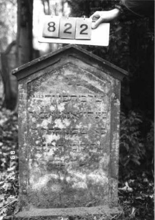 Grabstein 822 (Index: 99751475) Material: Sandstein Zustand: abgeblättert/verwittert Maße HxBxT: 95x52x8 cm Beschreibung: Stele, giebelartiger Abschluß mit Verdachung, Schriftfeld eingetieft: Grabstein 822