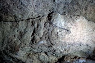 Altamira: SW320410