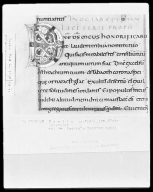 Epistolar aus Trier — Initiale D(OMINE DEUS), Folio 7verso