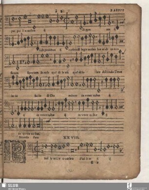 XXVIII. secunda pars: Psallite Deo nostro