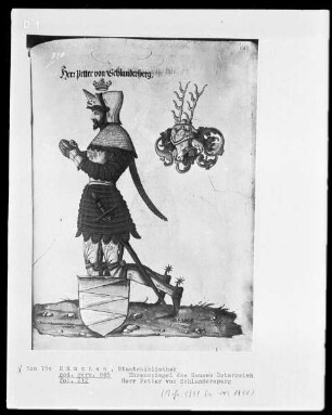Ehrenspiegel des Hauses Österreich — Herr Petter von Schlandersperg, Folio 212recto