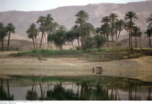 Ägypten: Am Nilufer