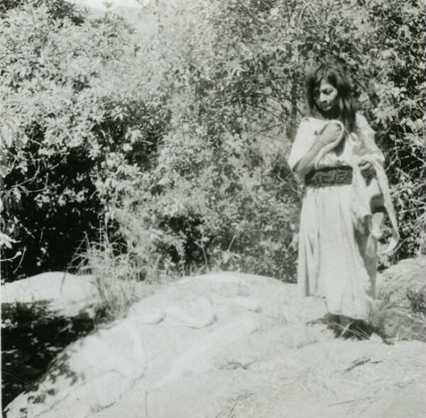 Femme arhuaco en train de laver et de blanchir des fibres d'agave.