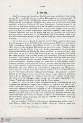 2. Gewebe