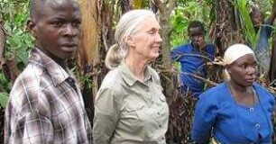 Jane's Journey - Die Lebensreise der Jane Goodall