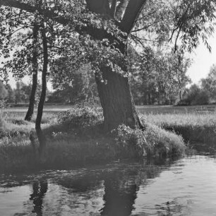 Landschaftsbild. Fließgewässer im Spreewald. : Wobraz krajiny. Groble w Błótach.