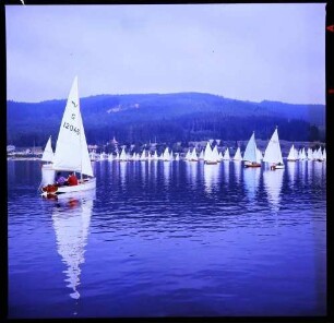 Schluchsee: Segelregatta, Start der Regattaboote