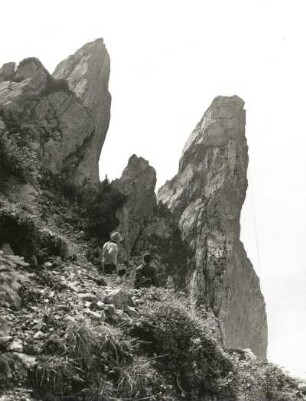 Ostkarpaten, Rumänien. Rarau-Massiv. Pietrele Doamnei (1640 m)