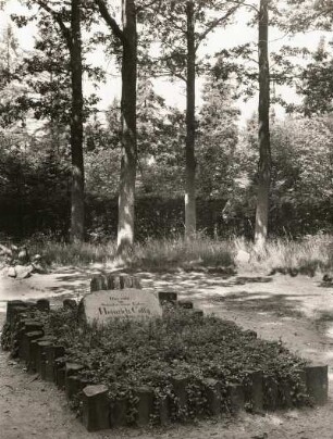 Grab Heinrich Cottas unter den von seinen Schülern zu seinem 80. Geburtstag gepflanzten 80 Eichen im Wald bei Tharandt