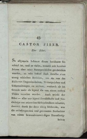 43. Castor Fiber. Der Biber.