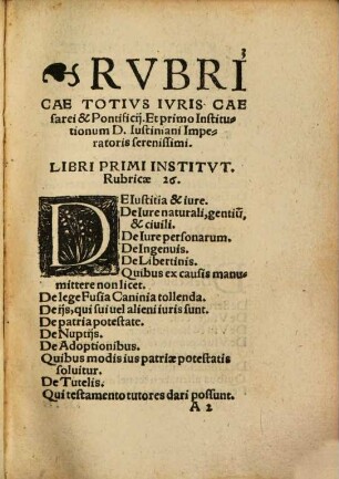 In hoc Enchiridio insunt Rubricae omnes civilis ac pontificii iuris, de verborum et rerum significatione ... de regulis iuris ... de gradibus affinit