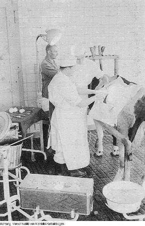 Gesundheitswesen, 1961-1965