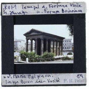 Rom, Tempel der Fortuna Virilis
