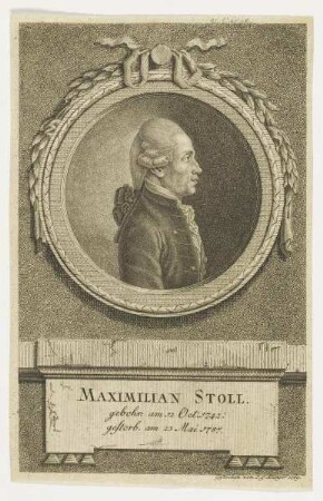 Bildnis des Maximilian Stoll