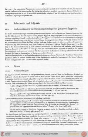 22. Substantiv und Adjektiv