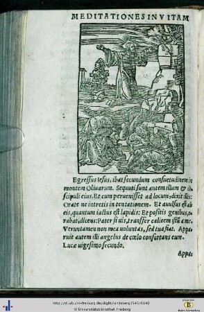 Theoria 11 - 20