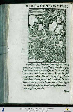 Theoria 11 - 20