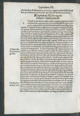 Capitulum. IIII. De regulis sumptis a lapsu naturali.