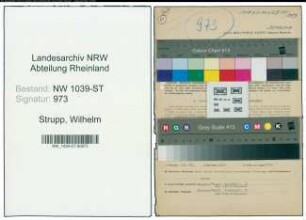 Entnazifizierung Wilhelm Strupp , geb. 24.04.1891 (Architekt)
