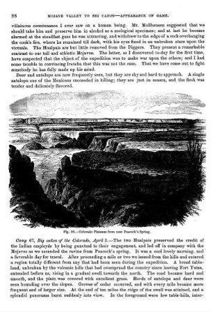 Colorado Plateau´s from near Peacock´s Spring