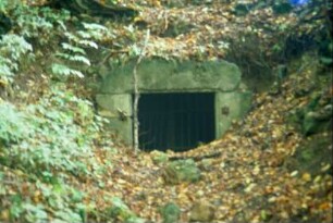 Felsenkeller im Wald