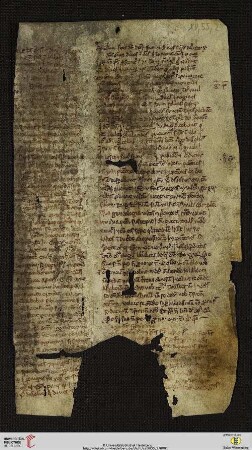 Sermones de sanctis et festis