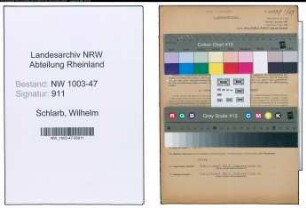 Entnazifizierung Wilhelm Schlarb , geb. 08.01.1893 (Bankrat)