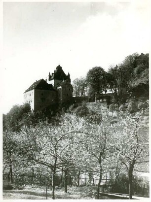 Liebstadt, Schloss Kuckuckstein