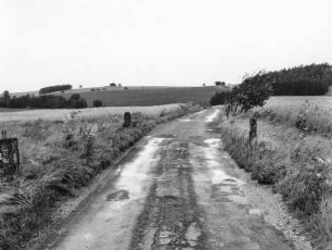 Hochkirch-Wuischke. Feldweg in Wuischke