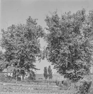 Landschaft : Oberlausitz. Ansicht von Gebäuden